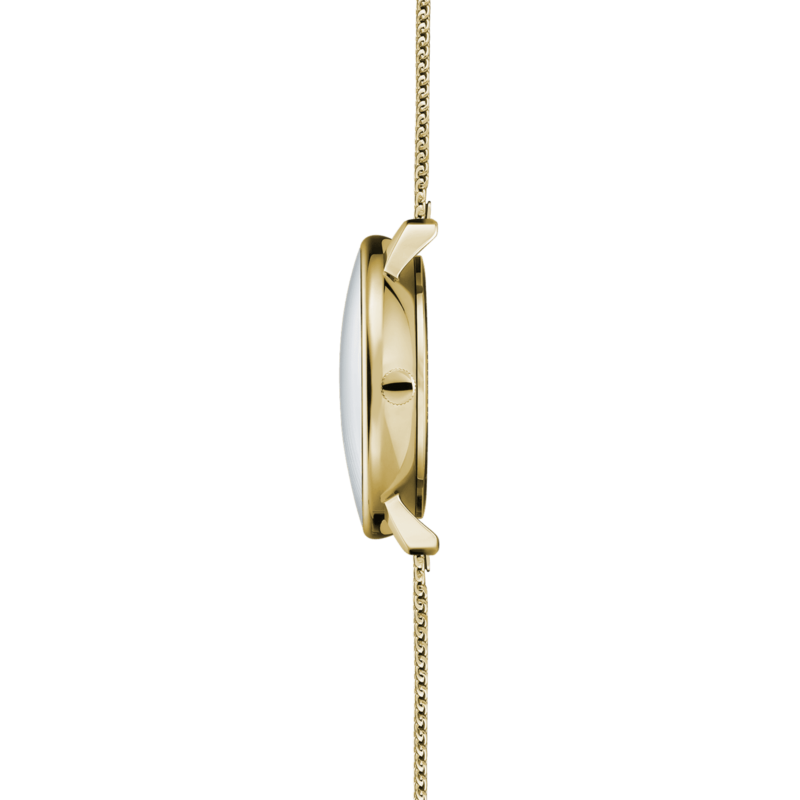 STERNGLAS Naos XS Gold - Image 6